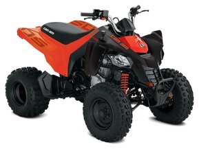 2020 Can-Am DS 250 for sale 201216171